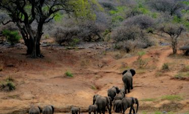 Eco-Tourism Across Ghana