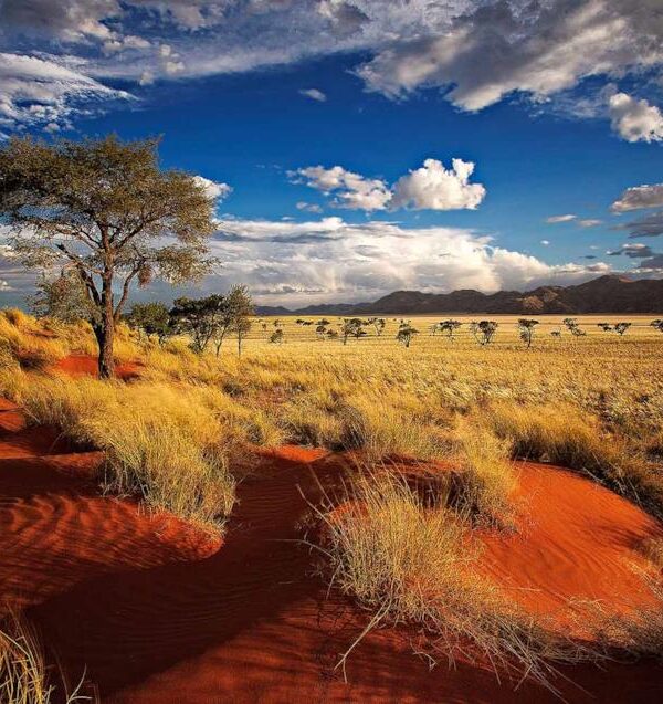 Namibia
